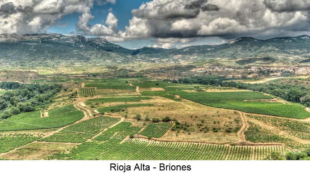 Rioja - Riojas Alta Briones