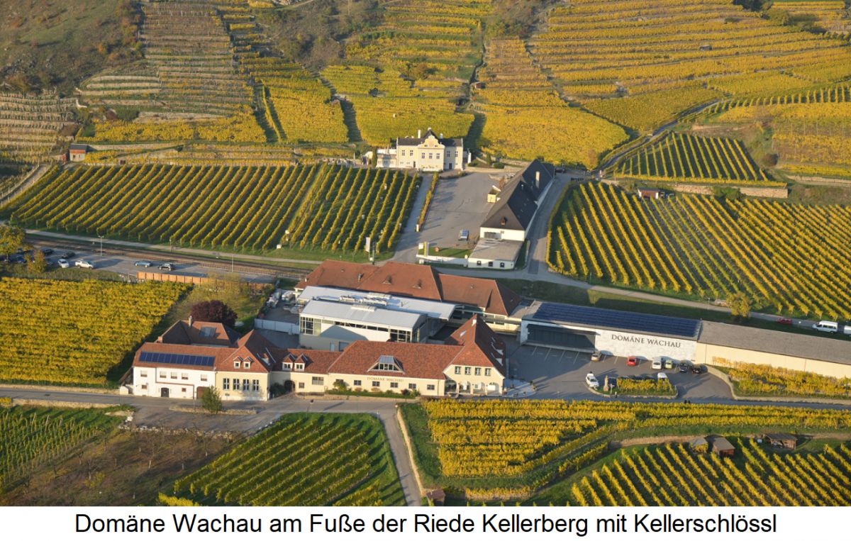 Domäne Wachau am Fuße der Riede Kellerberg mit Kellerschlössl