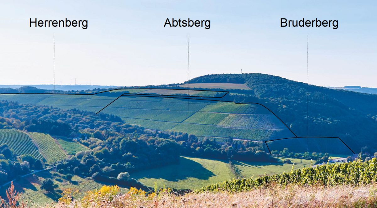 Maximin Grünberg - Abtsberg, Bruderberg, Herrenberg
