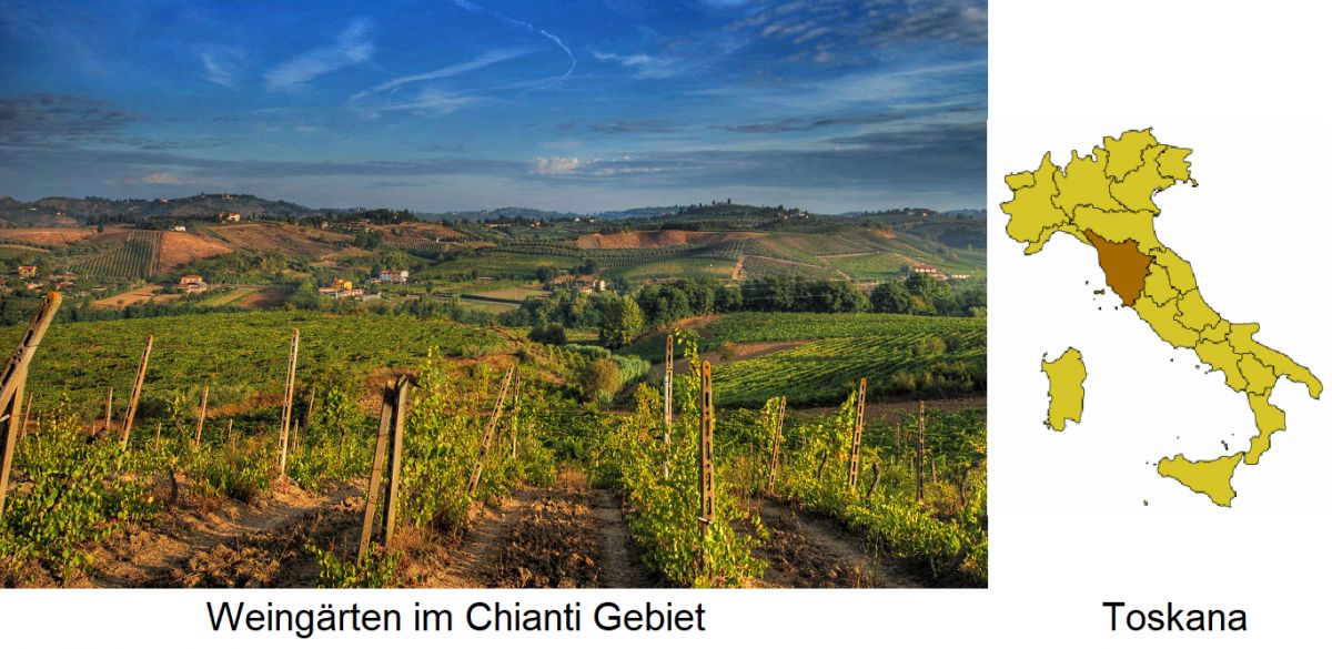 Toskana - Weingärten im Chianti-Gebiet und Karte