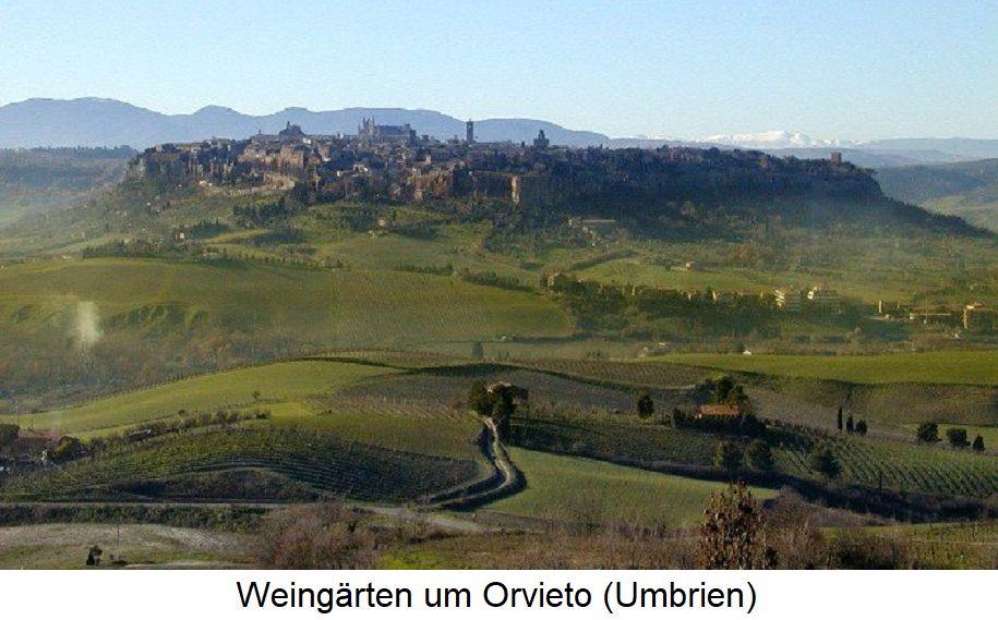 Orvieto - Weingärten um Orvieto