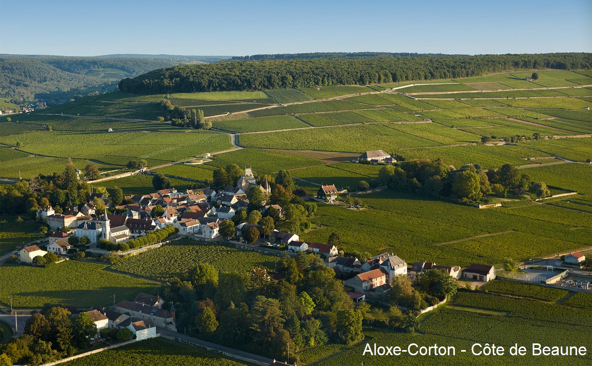  Burgund - Aloxe-Corton - Côte de Beaune 