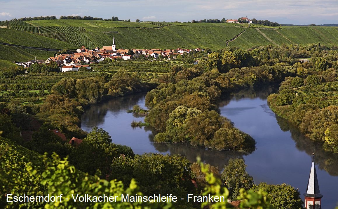 Franken - Escherndorf Volkacher Mainschleife