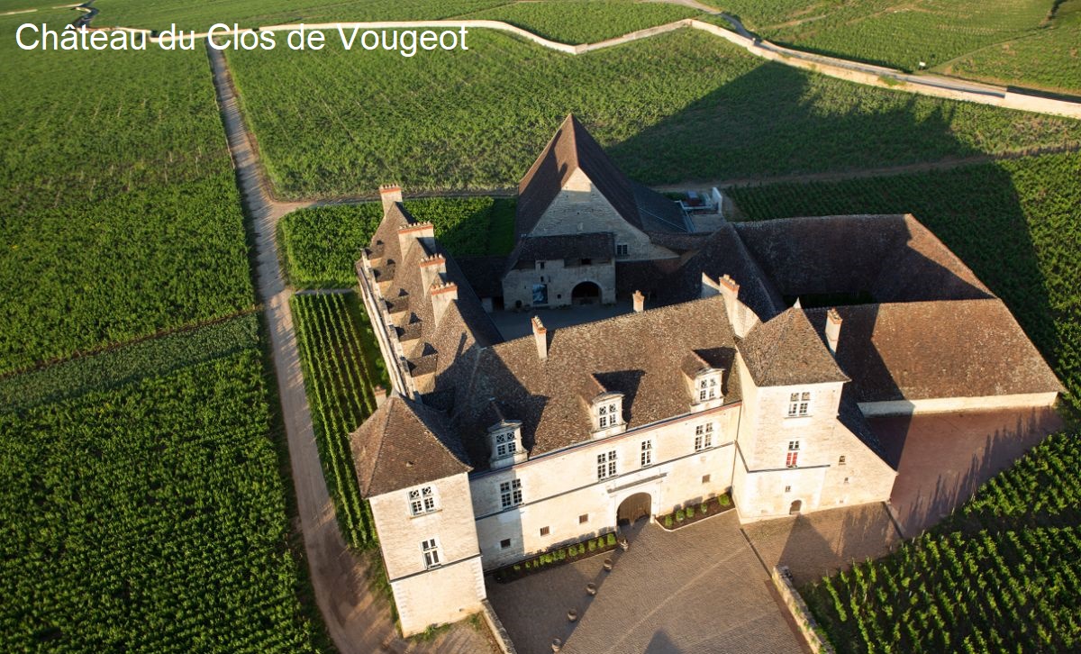 Clos de Vougeot - Château du Clos de Vougeot mit umliegenden Rebflächen