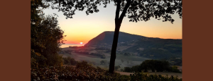 Azienda Agricola Lucesole Graziella