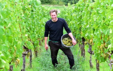 Ökologischer Weinbau Kraemer