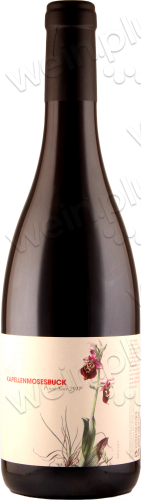 2017 Jechtingen Kapellenmosesbuck Pinot Noir trocken