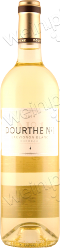 2019 Bordeaux AOC Sauvignon Blanc "Dourthe N°1"